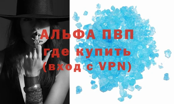 a pvp Аркадак