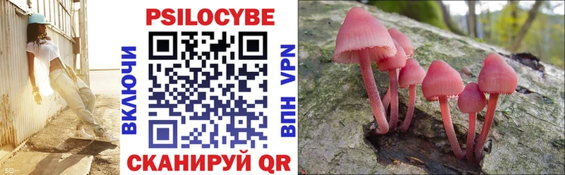 Псилоцибиновые грибы Psilocybine cubensis  Ленск 